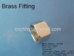 Brass hex coupling