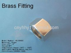 Brass hex coupling