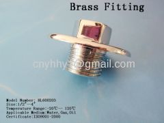 Brass plug