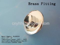 Brass plug