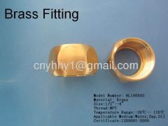 Brass hex pipe fitting