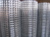 Stainless Steel Welded Wire Mesh