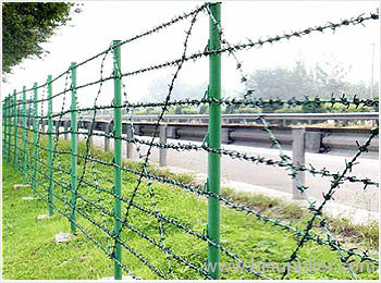 China Galvanized Barbed Wire