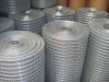 galvanzied welded wire mesh fenghua factory