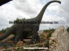 Life Size Dinosaur -Artificial Brontosaurus Model