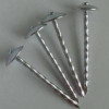 Galvanized umbrella roofing nail