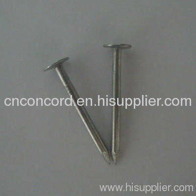 flat head roofing nail
