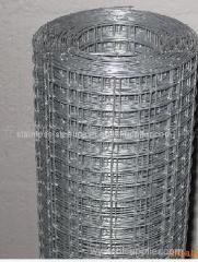 Welded Wire Mesh