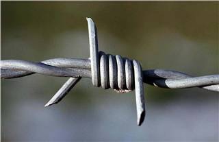 Electro Galvanized barbed wire (fenghua factory)