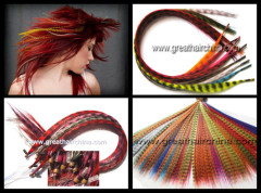 Fashion Feather Hair Extension