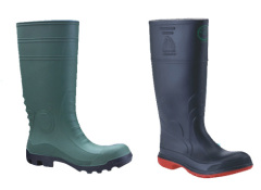 rainboots mould