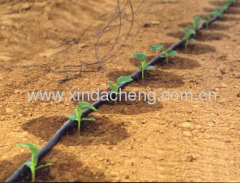 subsurface drip irrigation