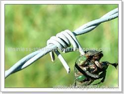 Promotion Iron Barbed Wire