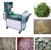 Multifunction inverter Controlled Vegetable Cutter