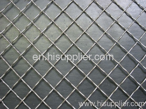 Hot Dip Galvanized Crimped Wire Mesh