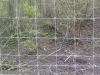 Galvanized Field Fence