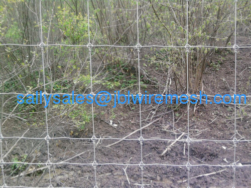 Hot-dipped Galvanized Field Fence