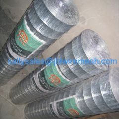 Galvanised Welded Wire Mesh