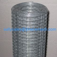 Welded Wire Netting