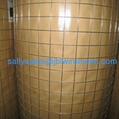 Electro Galvanized Welded Wire Netting