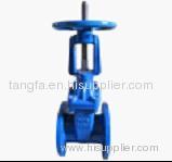 gate valve