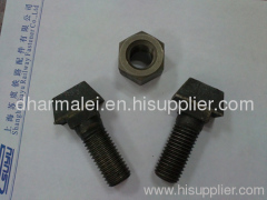 T head bolt, T bolt