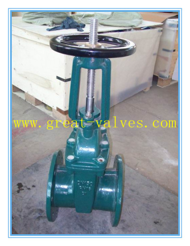 615-F (BS) Cast Iron Gate Valve (RS)