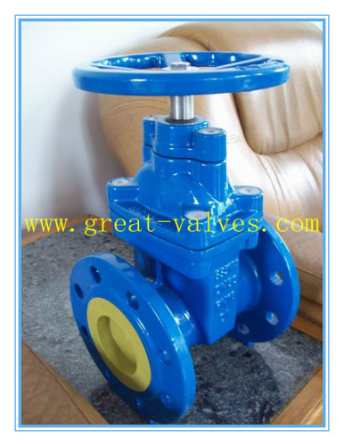 616-F (BS) Cast Iron Gate Valve (NRS)