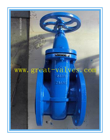 802-F (DIN) Cast Iron Gate Valve (NRS)