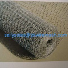 Galvanized Hexagonal Netting