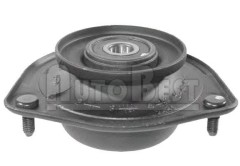 Strut Mount