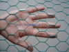 PVC Coated Hexagonal Wire Netting