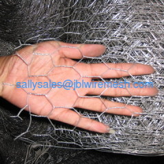 Electro Galvanized Hexagonal Wire Netting