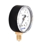 Dry Pressure Gauge-111CL