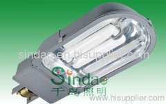 induction lamp--street light