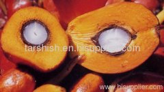 Palm Oil