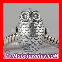 Sterling silver european zable charms