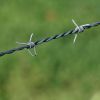 Barbed Wire