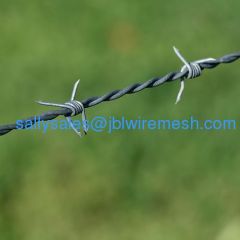 Galvanized Barbed Wire