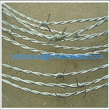 Electro Galvanized Barbed Wire China