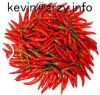 chaotian chilli