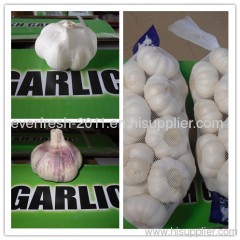 red garlic