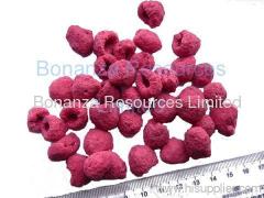 freeze dried raspberry