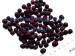 Freeze Dried Blueberry health food berries