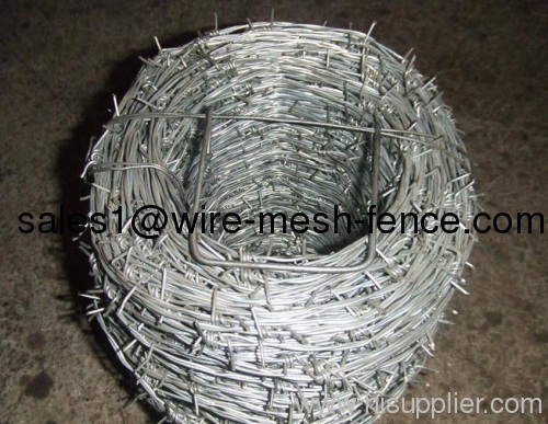 Barbed wire(Factory)