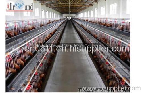 Poultry Equipment system