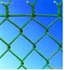Pvc coated Chain Link Fence(ISO)