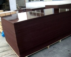 Sell Brown Film Faced Plywood