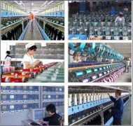 Jinghong Embroidery Thread Co. Ltd