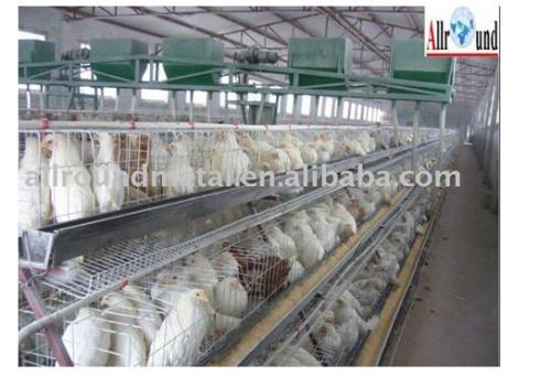 poultry equipment